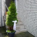 Konfirmat-Dominik 03 027