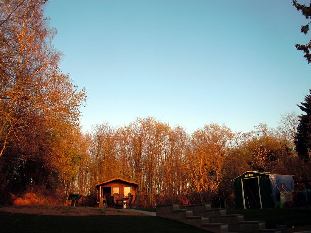Hochzeit 307