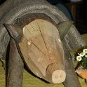 Willi --210608 164