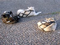 FB Treffen Berlin 2006 März - 0952