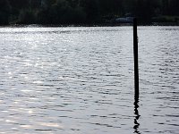 IMG 0034