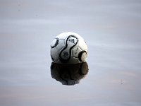 IMG 0071