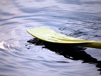 IMG 0076