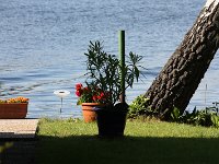 IMG 0291