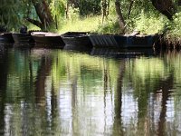 IMG 0361