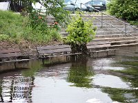 IMG 0381