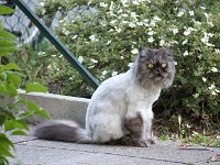 IMG 0448