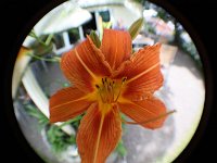 IMG 0967