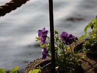 IMG 9981