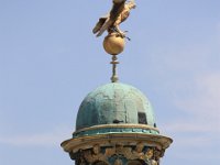 IMG 4771