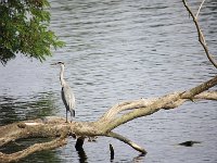 IMG 5729 (2)