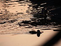 IMG 5812 (2)