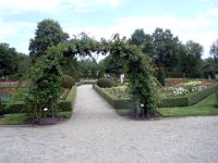 DSCN5417
