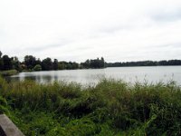 DSCN5441