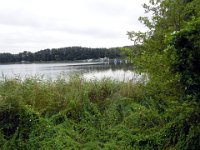 DSCN5443