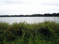 DSCN5444