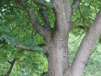 Treffen Berlin 28 07 2016 0005