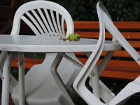 Treffen Berlin 28 07 2016 0012