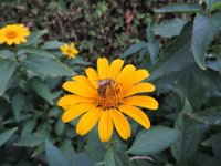 Treffen Berlin 28 07 2016 0014