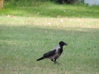 Treffen Berlin 28 07 2016 0020