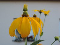 Treffen Berlin 28 07 2016 0037