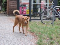 Treffen Berlin 28 07 2016 0121