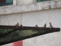 Treffen Berlin 28 07 2016 0129
