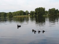 Treffen Berlin 28 07 2016 0216