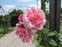 Treffen Berlin 28 07 2016 0228