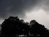 Treffen Berlin 28 07 2016 0263