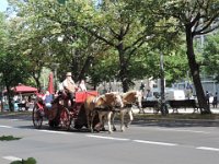 Treffen Berlin 28 07 2016 0282