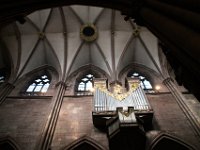 Freiburg 03 0492