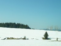 Freiburg 2015 026