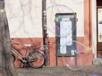 Freiburg 2015 097