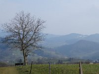 Freiburg 2015 146