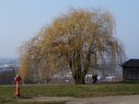 Freiburg 2015 156