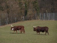 Freiburg 2015 163