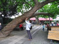 FB Treffen Köln 2008 23 08 - 086