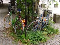 FB Treffen Köln 2008 23 08 - 106