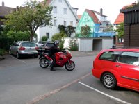 Katze Freudenstadt 2014
