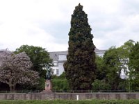 FB Treffen Koblenz --2008 20 05 - 094