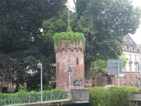 IMG 4193