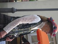 IMG 4251