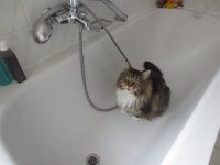 IMG 4256